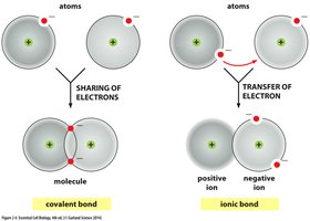 Comparison of covalent and ionic bonds