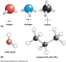 Covalent bond geometries