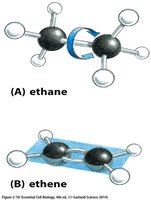 Rotation in C-C and C=C bonds