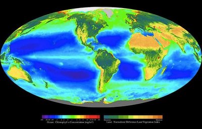 Global map showing biosphere and productivity