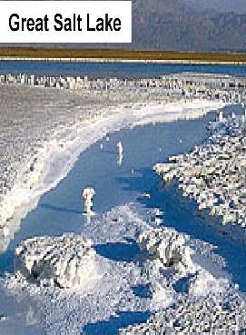 Great Salt Lake, an extreme environment for halophilic archaea