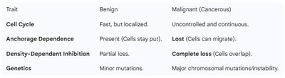 Comparison table of benign and malignant tumor traits
