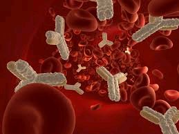 Antibody molecules in blood