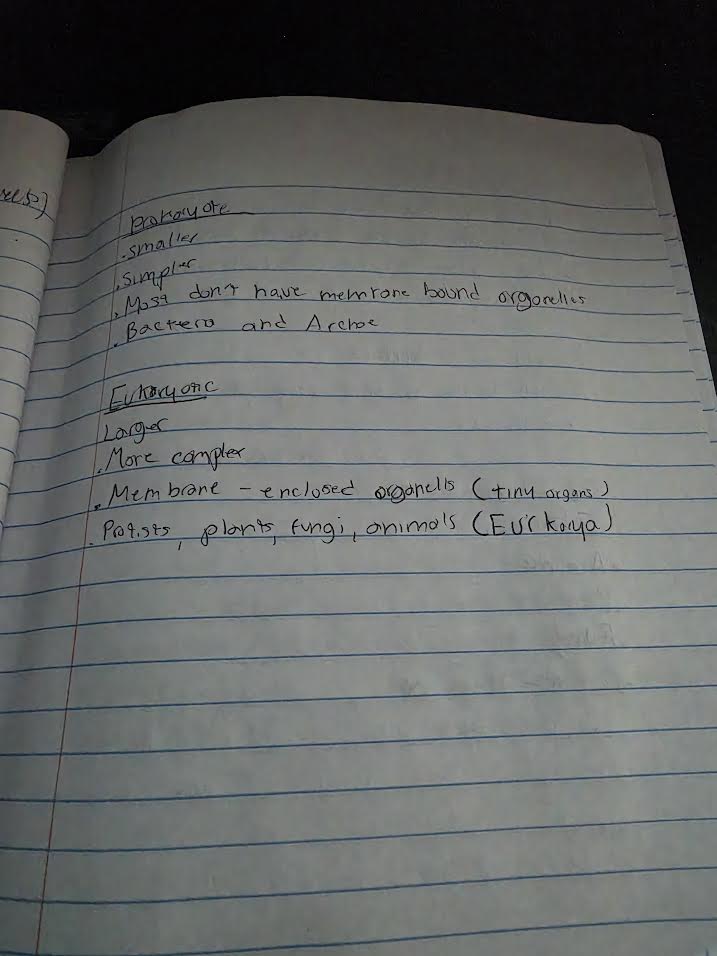 Handwritten notes comparing prokaryotic and eukaryotic cells