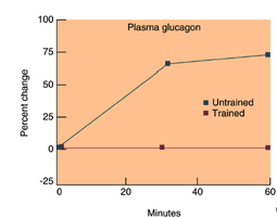 Glucagon effects on metabolism