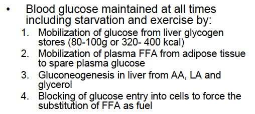 Blood glucose regulation during exercise