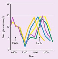Blood glucose fluctuations and insulin release
