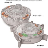 Definition of semiautonomous