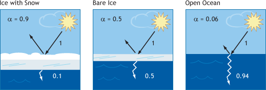 Albedo values for ice with snow, bare ice, and open ocean