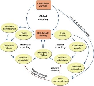 Diagram of feedback loops in climate change