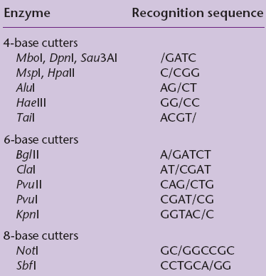 Restriction enzyme recognition sequences