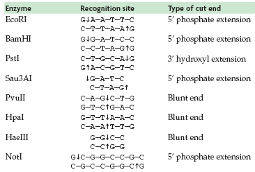 Restriction enzyme cut sites and types of ends