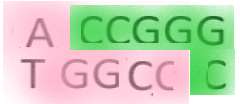 Overview of DNA cloning and library construction