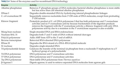 Table of enzymes used in recombinant DNA technology