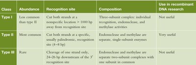 Restriction enzyme classes and their features