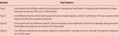 Restriction enzyme systems and key features
