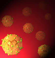 Antibody structure and antigen binding