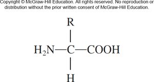 General structure of an amino acid