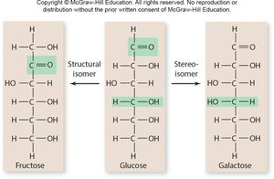 Isomers of glucose: fructose, glucose, galactose