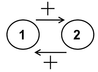 Diagram of mutualism interaction