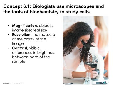 Student using a microscope, highlighting magnification, resolution, and contrast
