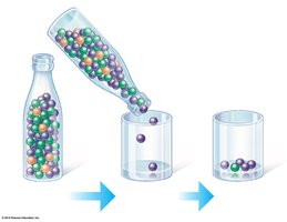 Bottleneck effect illustration