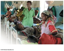 Malaria and antibiotic resistance