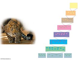 Taxonomic hierarchy and example organism