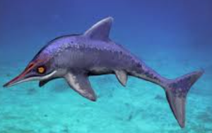 Ichthyosaur reconstruction