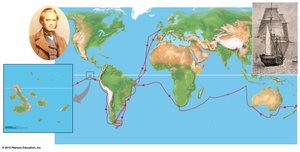 Darwin's voyage on the HMS Beagle