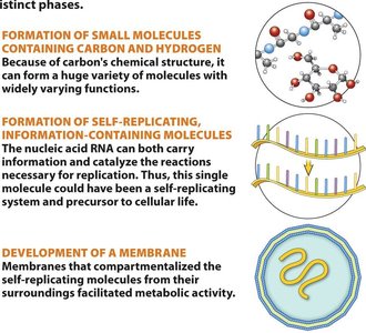 Three phases in the origin of life: small molecules, self-replicating molecules, and membranes