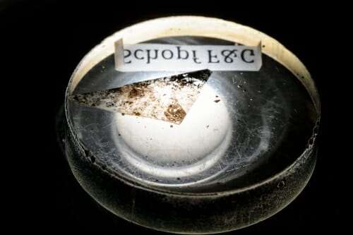 Ancient rock sample containing evidence of early life
