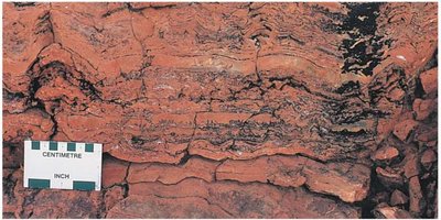 Fossil evidence of early prokaryotes and cyanobacteria