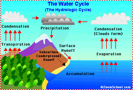 Diagram of the water cycle