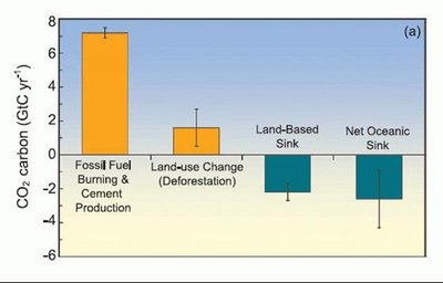 Bar graph of carbon sources and sinks