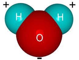 Water molecule structure