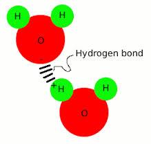 Hydrogen bond between two water molecules