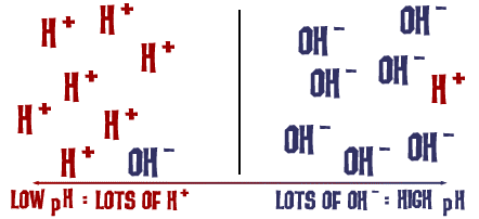 H+ and OH- ions in acids and bases