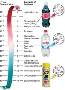 Examples of acids, bases, and neutral substances