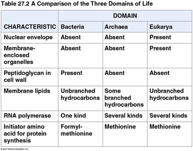 Table comparing three domains of life: Bacteria, Archaea, Eukarya
