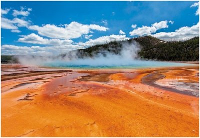Extreme thermophile environment