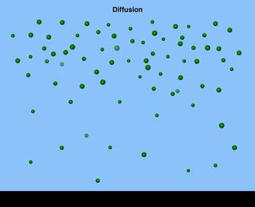 Diffusion of molecules