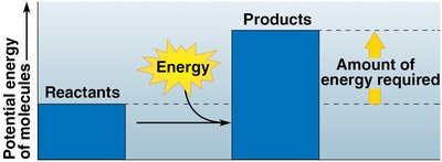 Endergonic reaction energy diagram