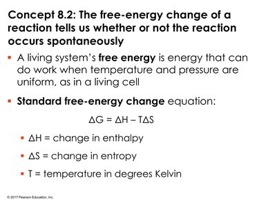 Equation for free energy change and its components