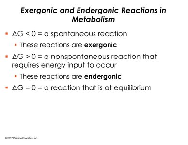 Summary of exergonic and endergonic reactions