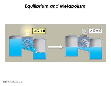 Diagram showing equilibrium and inability to do work in a closed system