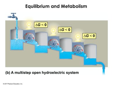 Diagram of a multistep open hydroelectric system, analogous to cellular metabolism