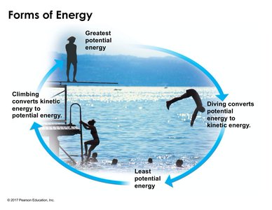 Diagram showing conversion between potential and kinetic energy using a diver