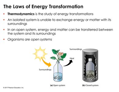 Comparison of open and closed systems in thermodynamics