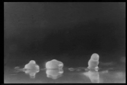 Slime mold migration